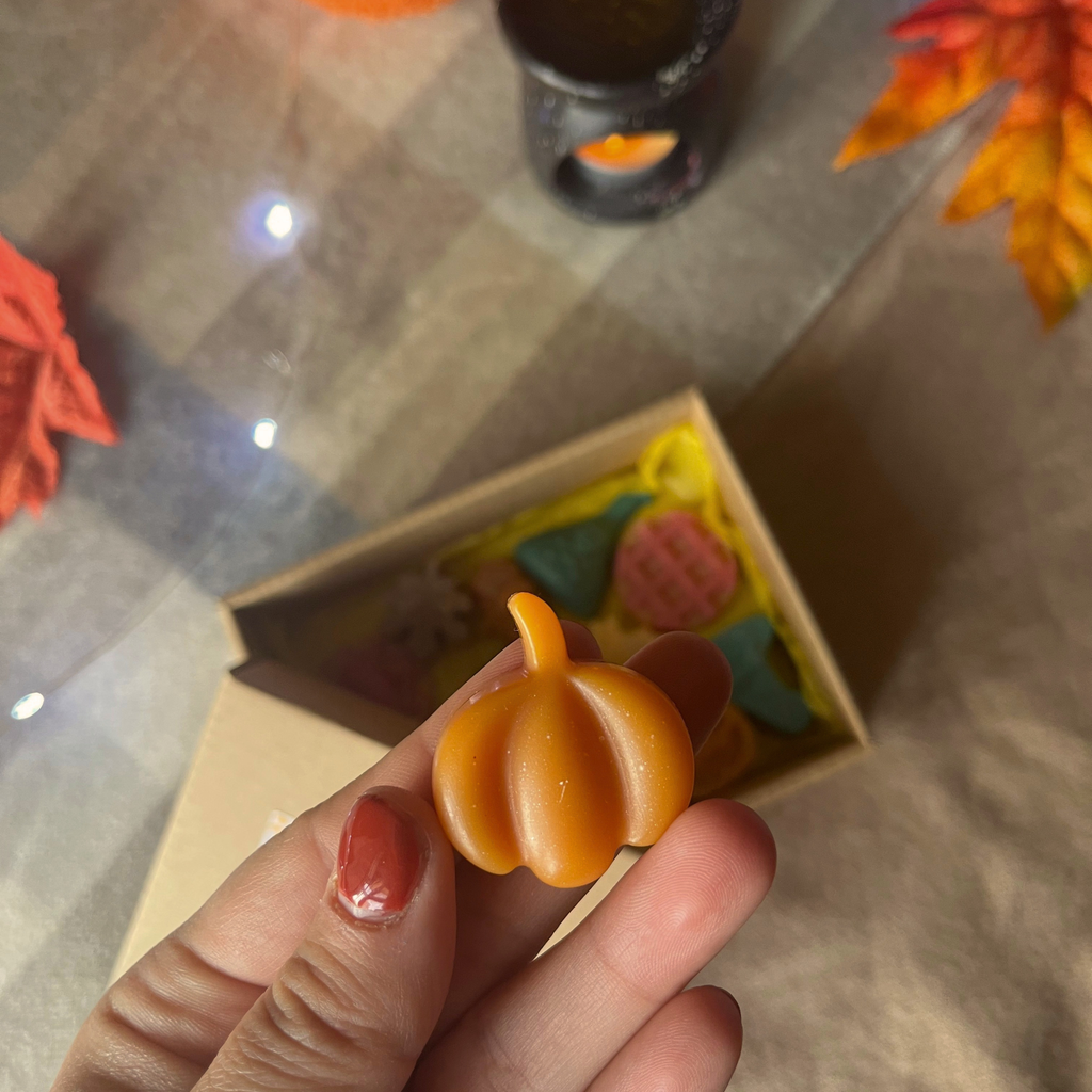 Ръчно изляти восъчни мелтове 100 грама - есенни фигурки🍂